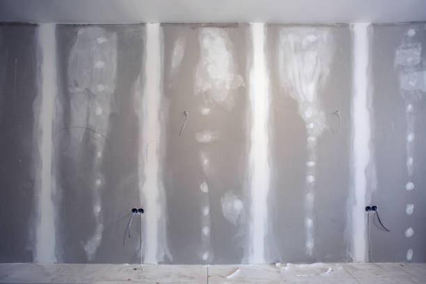 Reliable Horseshoe Bend, AR Mold Removal Solutions