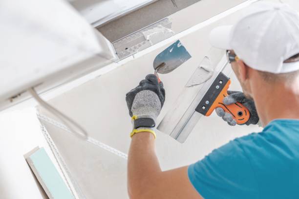 Best Mold Prevention Services  in Horseshoe Bend, AR